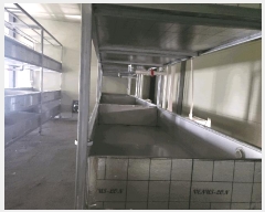  2025Ÿ��33844 ���� ���ֽ� ������ ���縮 252      ���(�󰡽ü�)���