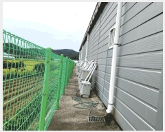  2025Ÿ��33844 ���� ���ֽ� ������ ���縮 252      ���(�󰡽ü�)���