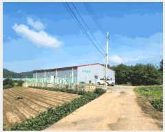  2025Ÿ��33844 ���� ���ֽ� ������ ���縮 252      ���(�󰡽ü�)���