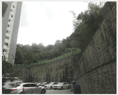  2025Ÿ��33903 ���� ���ֽ� ��Ȳ�� Ȳ�븮 621      ����(��1)���