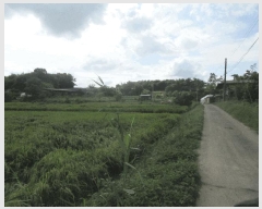  2025Ÿ��33903 ���� ���ֽ� ��Ȳ�� Ȳ�븮 621      ����(��1)���