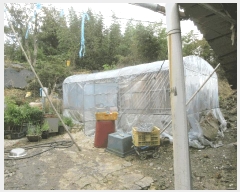  2025Ÿ��33903 ���� ���ֽ� ��Ȳ�� Ȳ�븮 621      ����(��1)���