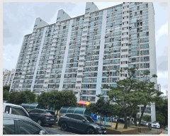  2025Ÿ��33966  ����Ʈ���