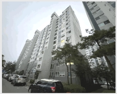  2025Ÿ��33982  ����Ʈ���