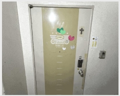  2025Ÿ��33982  ����Ʈ���