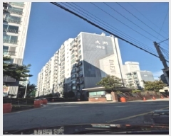  2025Ÿ��33982  ����Ʈ���