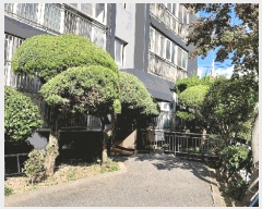  2025Ÿ��34076 ���� ���� �渲�� 556-1 201�� 8��902ȣ     ����Ʈ���