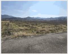  2025Ÿ��34366  ����