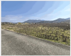  2025Ÿ��34366  ����