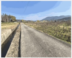  2025Ÿ��34366  ����