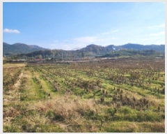  2025Ÿ��34366  ����