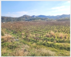  2025Ÿ��34366  ����