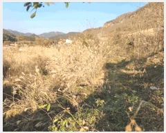  2025Ÿ��34432  �����