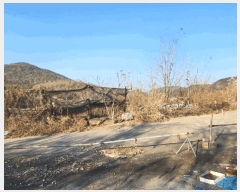  2025Ÿ��34432  �����