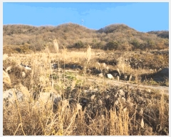  2025Ÿ��34432  �����