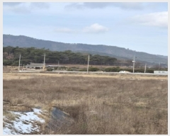  2025Ÿ��34534  ����