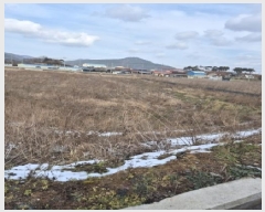  2025Ÿ��34534  ����