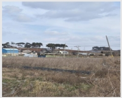  2025Ÿ��34534  ����