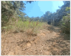  2025Ÿ1595   븶 ȭ 447-1      (1)