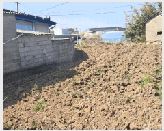  2025Ÿ1595   븶 ȭ 447-1      (1)