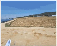  2025Ÿ1595   븶 ȭ 447-1      (1)