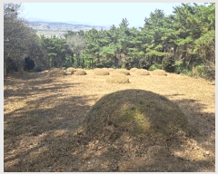  2025Ÿ1595   븶 ȭ 447-1      (1)