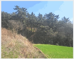  2025Ÿ1595   븶 ȭ 447-1      (1)