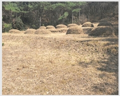  2025Ÿ1595   븶 ȭ 447-1      (1)