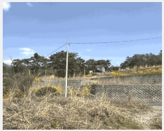  2025Ÿ��1809 ���� ȭ���� ����� ��ȭ�� 167-5      ����(�Ӿ�)���