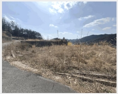  2025Ÿ��1809 ���� ȭ���� ����� ��ȭ�� 167-23      ����(��1)���