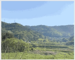  2025Ÿ2116  ֽ Ȳ  244      (Ӿ)