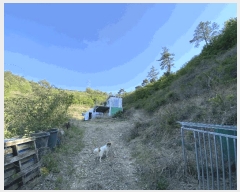  2025Ÿ2116  ֽ Ȳ  244      (Ӿ)