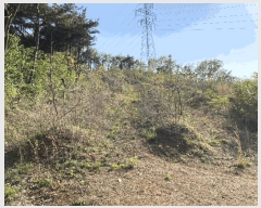  2025Ÿ2116  ֽ Ȳ  244      (Ӿ)