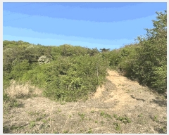  2025Ÿ2116  ֽ Ȳ  244      (Ӿ)