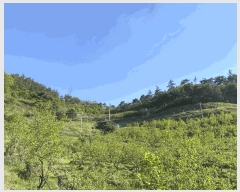  2025Ÿ2116  ֽ Ȳ  244      (Ӿ)