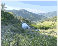  2025Ÿ2116  ֽ Ȳ  244      (Ӿ)