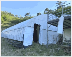  2025Ÿ2116  ֽ Ȳ  244      (Ӿ)