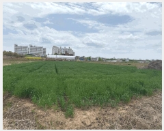  2025Ÿ2215  걸 Ƶ 473-3       ()