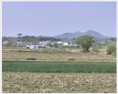  2025Ÿ2215  걸 Ƶ 473-3       ()