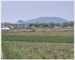  2025Ÿ2215  걸 Ƶ 473-3       ()