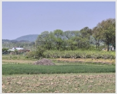  2025Ÿ2215  걸 Ƶ 473-3       ()