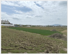  2025Ÿ2215  걸 Ƶ 473-3       ()