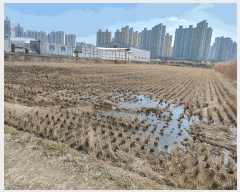  2025Ÿ31596  ϱ ſ뵿 479-11       ()