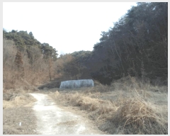  2025Ÿ32009   ޸  50      (Ӿ)