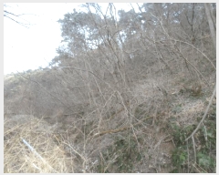  2025Ÿ32009   ޸  50      (Ӿ)