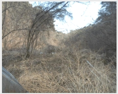  2025Ÿ32009   ޸  50      (Ӿ)