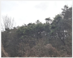  2025Ÿ32009   ޸  50      (Ӿ)