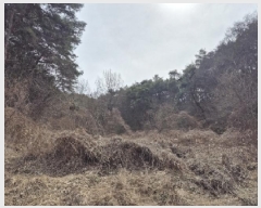  2025Ÿ32009   ޸  50      (Ӿ)