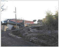  2025Ÿ��32226 ���� ���� ȭ�嵿 428       ����(����)���