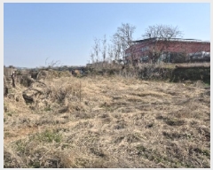  2025Ÿ��32226 ���� ���� ȭ�嵿 428       ����(����)���